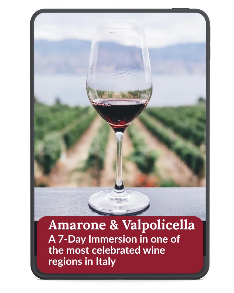 Cover "Amarone&Valpolicella" sample itinerary book